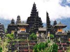 tour packages bali driver